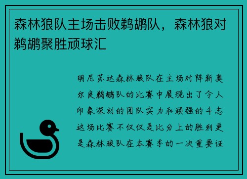 森林狼队主场击败鹈鹕队，森林狼对鹈鹕聚胜顽球汇